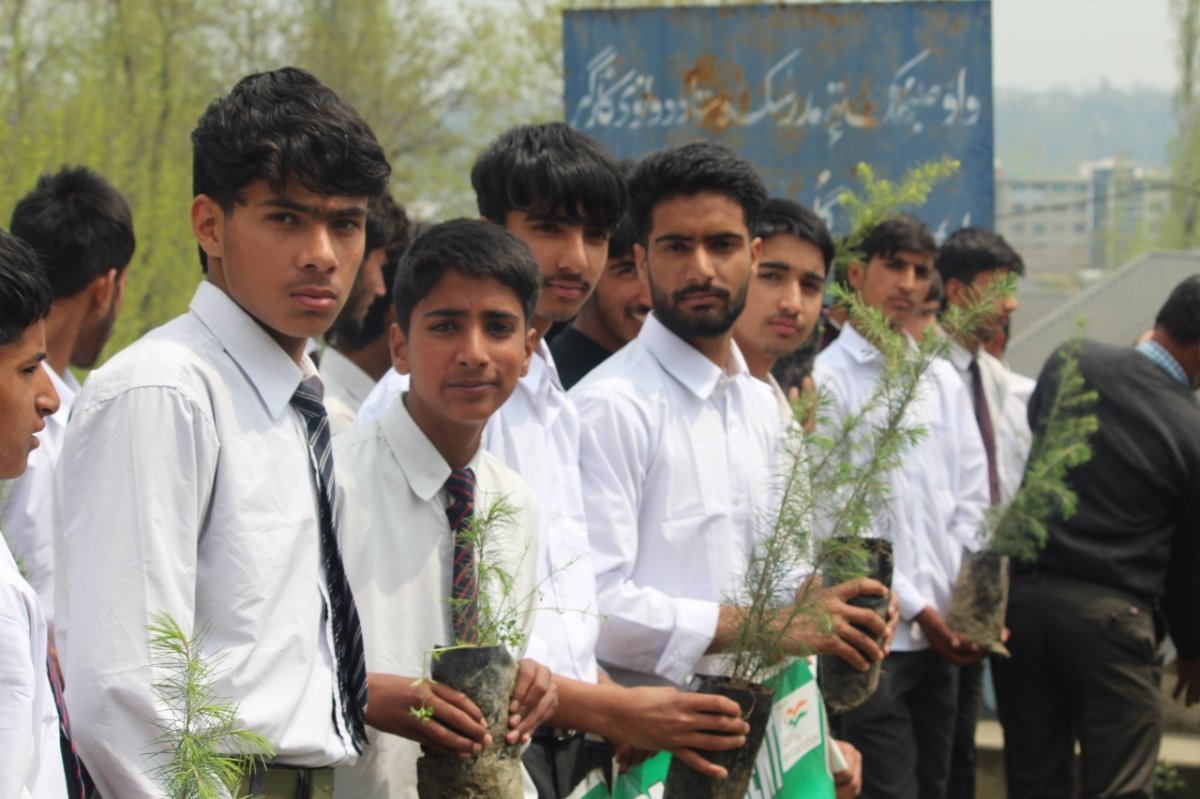 Plantation Drives