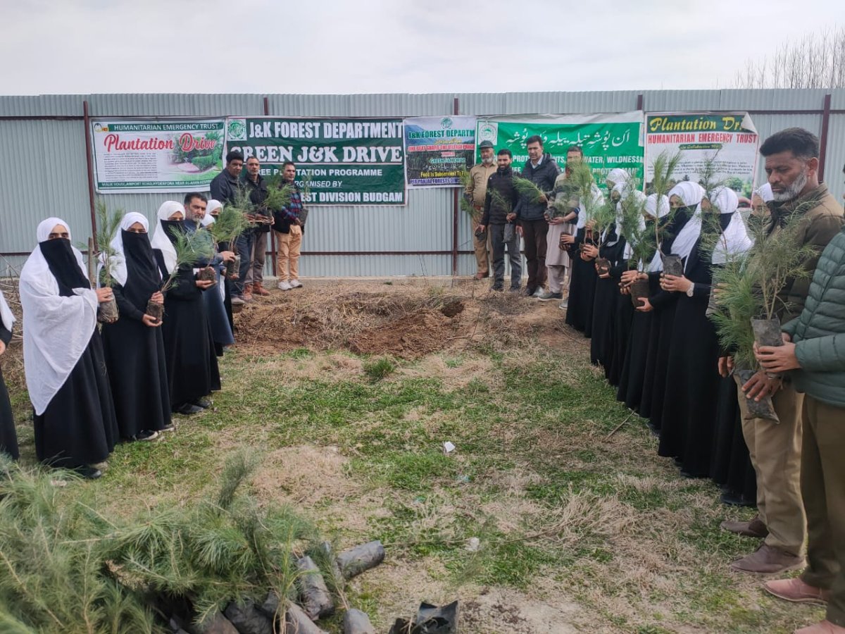 Plantation Drive